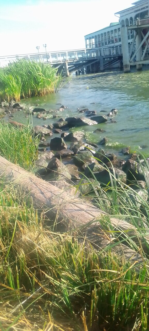 Гостиница Московская застава Кострома-196