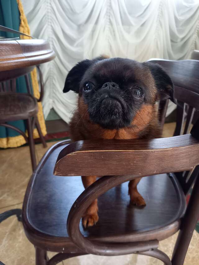 Гостиница Московская застава Кострома-199